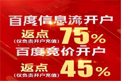 SEM竞价优化策略：成功案例解析